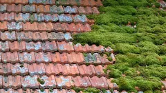 Ako ľahko a bez rizika očistiť strechu od machu: jednoduchý a bezpečný spôsob