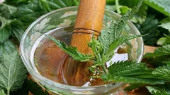 Ako premeniť obyčajnú žihľavu na užitočné hnojivo: recept na výživný nálev