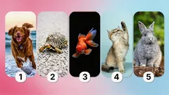 Čo prezrádza výber domáceho miláčika? Test, ktorý odhaľuje osobnosť