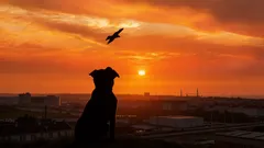 Psa nechali na ulici s krutým odkazom: jeho obsah rozrušil aj dobrovoľníkov