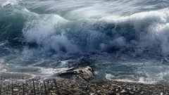 Asteroid spôsobil megacunami pri pobreží Európy: kde a kedy k tomu došlo?