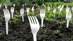 Susedia sa smiali, kým neuvideli výsledok: načo sú v záhrade potrebné vidličky?